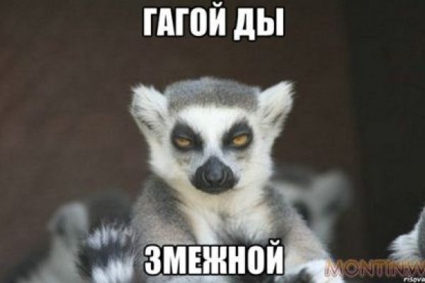 Ссылка на сайт гидра в тор браузере