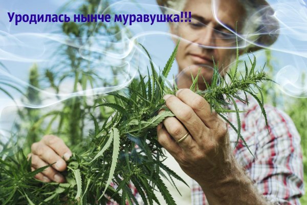 Официальный сайт даркнет