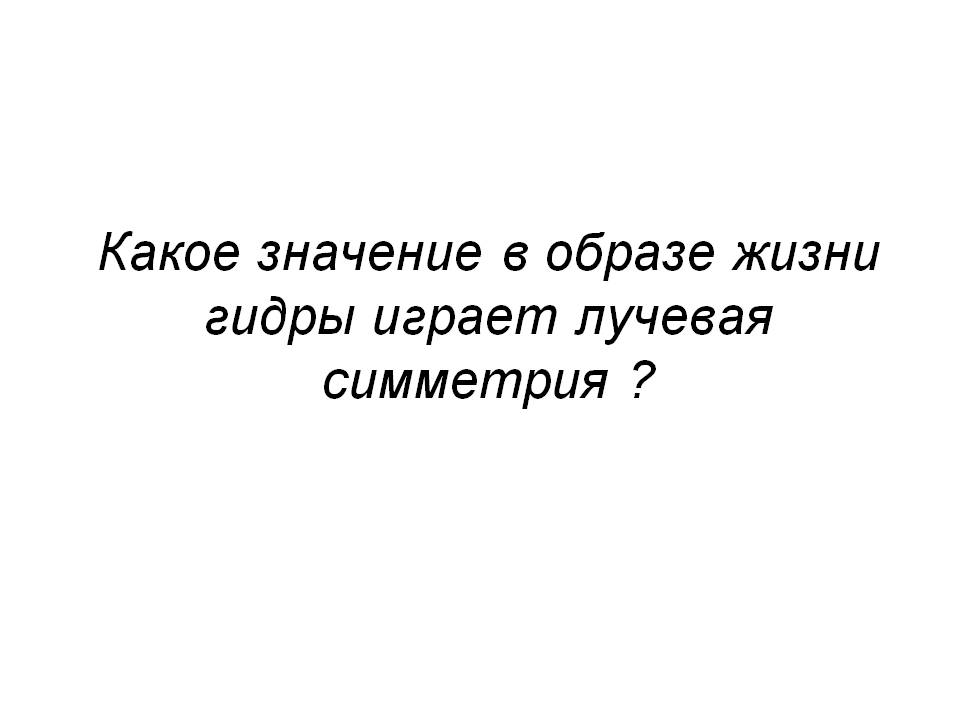 Кракен шоп нарк