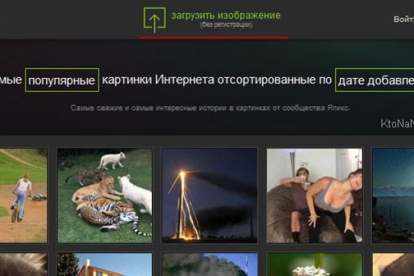 Найти зеркало кракена