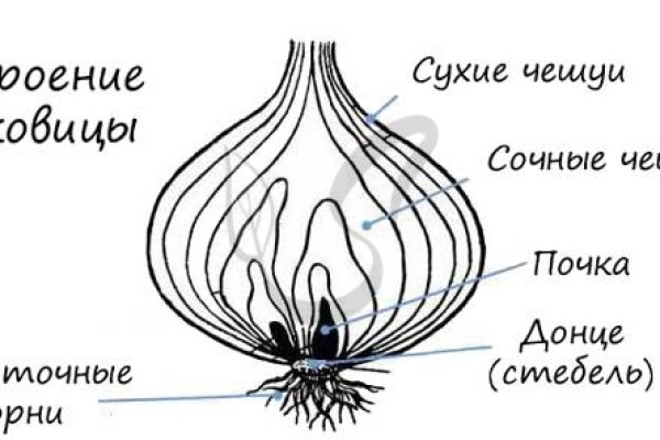 Ссылки на кракен зеркала